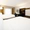 Holiday Inn Express & Suites Franklin - Berry Farms by IHG - Franklin