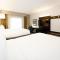 Holiday Inn Express & Suites Franklin - Berry Farms, an IHG Hotel - Franklin