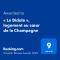 « Le Bidule », logement au cœur de la Champagne - Chouilly