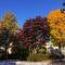 Super Cosy 8Bed & 6Bath in Vancouver heart near to airport