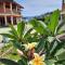 Juma cottages