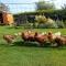 Coastal Garden Lodge