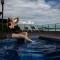 Vista Espetacular em Escarpas com Piscina - كابيتوليو