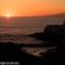 Tenerife lizards - duplex in the first line