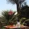 La Sousta photo 17