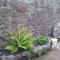 2 Bed pet-free cottage, private garden & fell view - Arlecdon