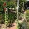 Clarevale Cottage B&B - Клер
