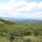 Bonnie View Game Lodge