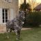 Gîtes By Medoc