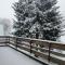 Chalet bois Woody proche Luchon,Peyragudes,le mourtis - Cierp