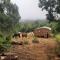 Diamond Vault Rustic Mountain Cabins - Hogsback