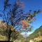 Appartement Wildspitz