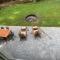 Killington Ski Chalet - Newly Renovated