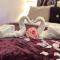 perfect lifestyle Design Boutique & Private SPA