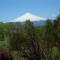 Apart Hotel Antu de Villarrica