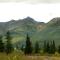 Denali Park Hotel
