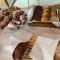 Guest House Le Cassandre