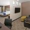 Holiday Inn Austin Airport, an IHG Hotel - Austin