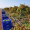 La Calabacera Casa Verde con piscina, By Paramount Holidays
