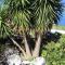 Apartment in El Tanque with bubble bath - Las Cruces