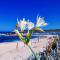 La Liccia - Camping&Village