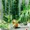 Chi Homestay #4