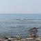 SEAVIEW Room Bandra W Bandstand Nr Taj WOMEN ONLY