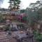 The Big tree @ Sabie