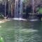 The Big tree @ Sabie
