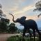 The Big tree @ Sabie