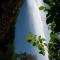The Big tree @ Sabie