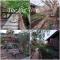 The Big tree @ Sabie