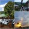 The Big tree @ Sabie