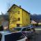 Dogs baronesse Pasja grofica Idrija