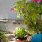 Summer Garden Studio - quiet village location - Koroni