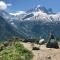 Le calme, le confort, la nature, skis aux pieds, à 15 kilomètres de Chamonix - Vallorcine