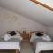 Studio apartment in Dugi Rat with sea view, balcony, air conditioning, WiFi 5132-5 - Dugi Rat