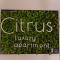 CITRUS LUXURY APARTMENT - holiday apartment with up to 3 bedrooms in palermo center