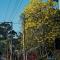 The Peaceful Village 花蓮小和民宿 2090&1 - Pinghe
