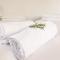 Pepper Tree Guesthouse