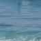 Dolphin Beach Get Away - Rosarito
