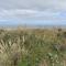 Beach Front on the Bay in our Rustic, Pet Friendly Cottage home - North Camellia Acres