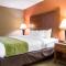 Comfort Inn & Suites Charleston Airport Convention Center
