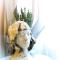 B&B San Benedetto