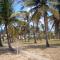Blue Moon Beach Holiday Resort