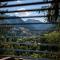 Chalet dans les Arbres