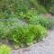 Top Floor at Cantref House - 布雷肯