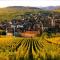 My Riquewihr photo 11