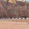 Wadi Rum Camp