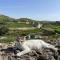 Luxury Farmhouse Villa surrounded with Nature & Farm Animals Alpacas etc - Għasri